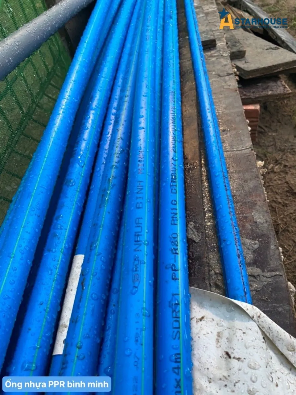 Biệt Thự Cô Tuyết Anh, Long An — ảnh giám sát 19