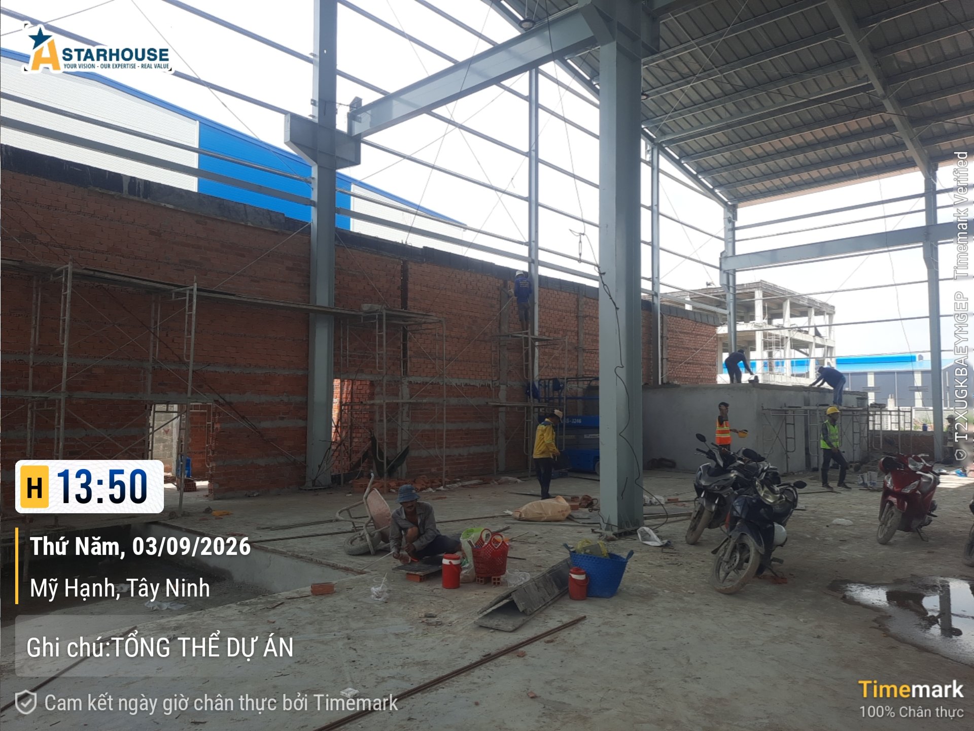 TỔNG THỂ